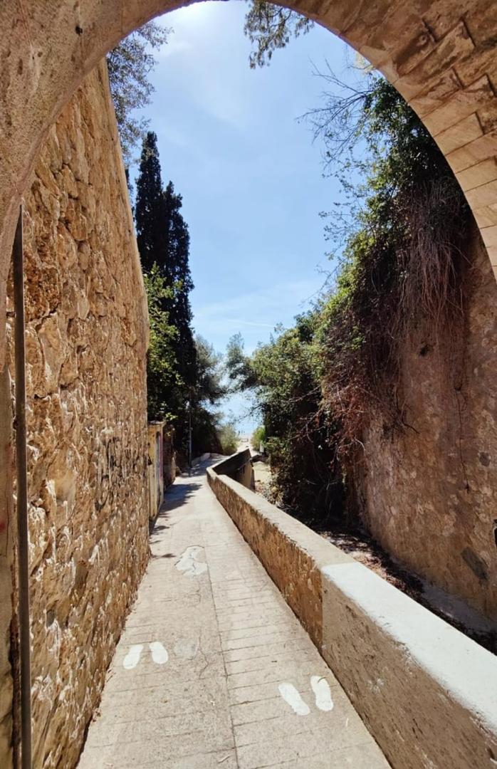 Le Coq Massolin Roquebrune-Cap-Martin Eksteriør bilde