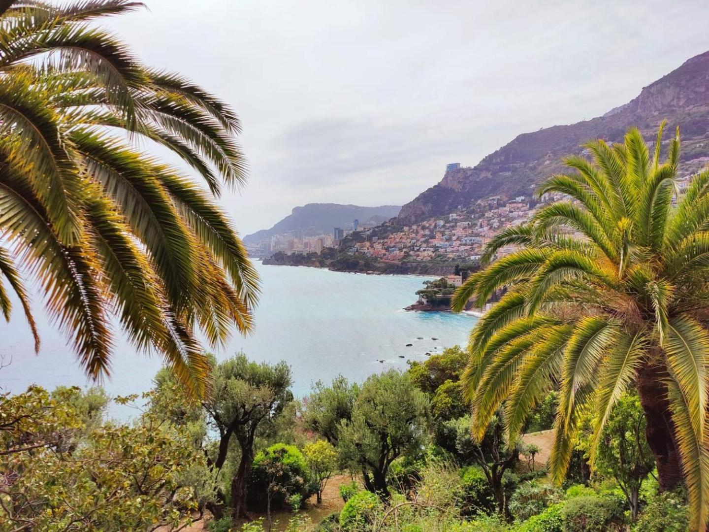 Le Coq Massolin Roquebrune-Cap-Martin Eksteriør bilde